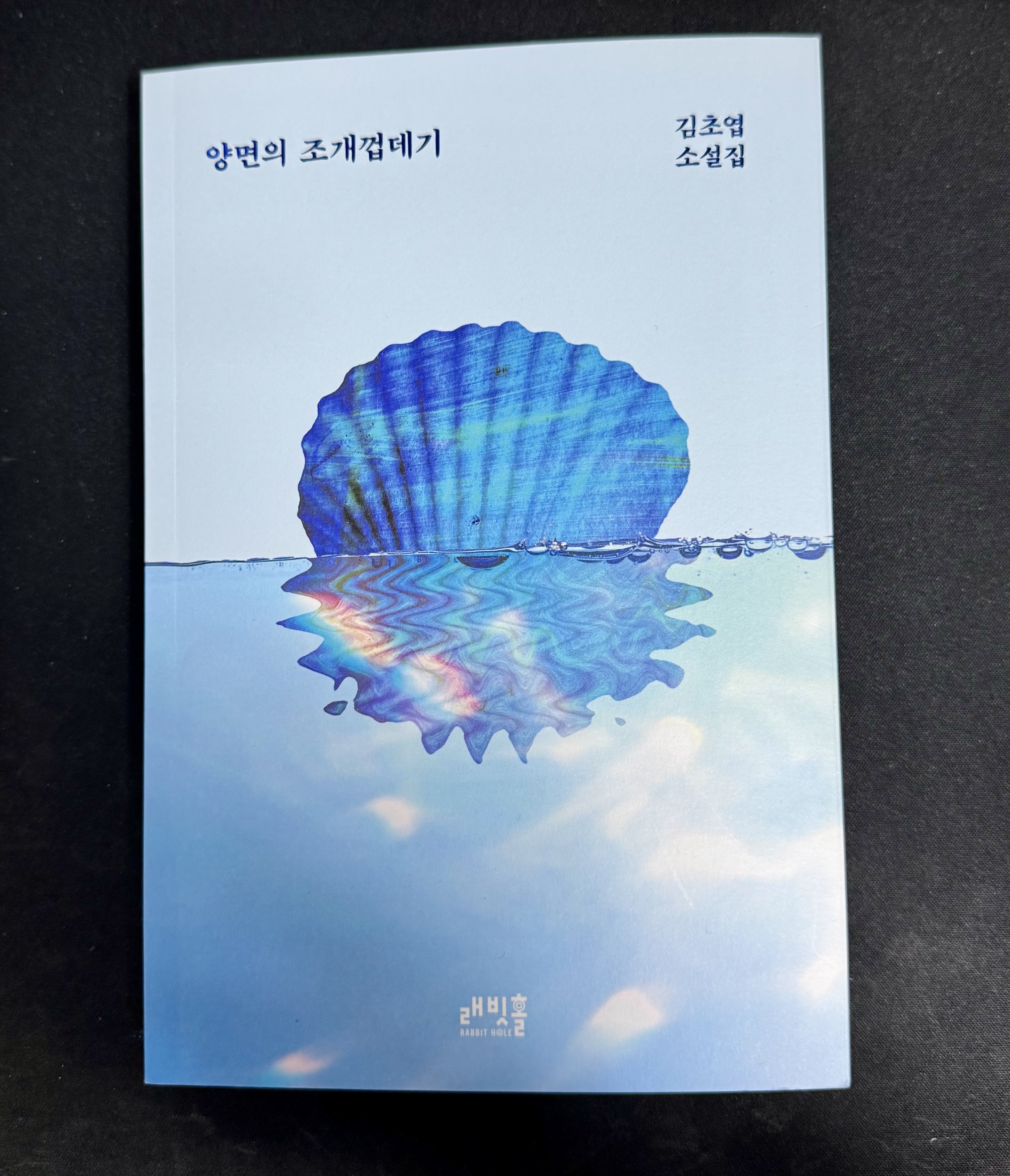 양면의 조개껍데기 책